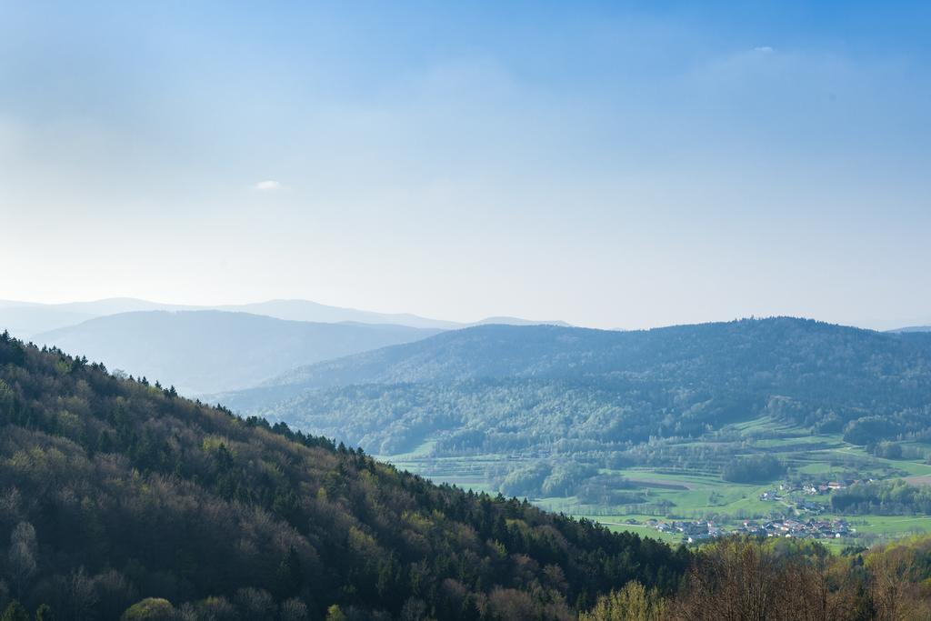 Panorama-Landgasthof Ranzinger Schofweg Exterior photo